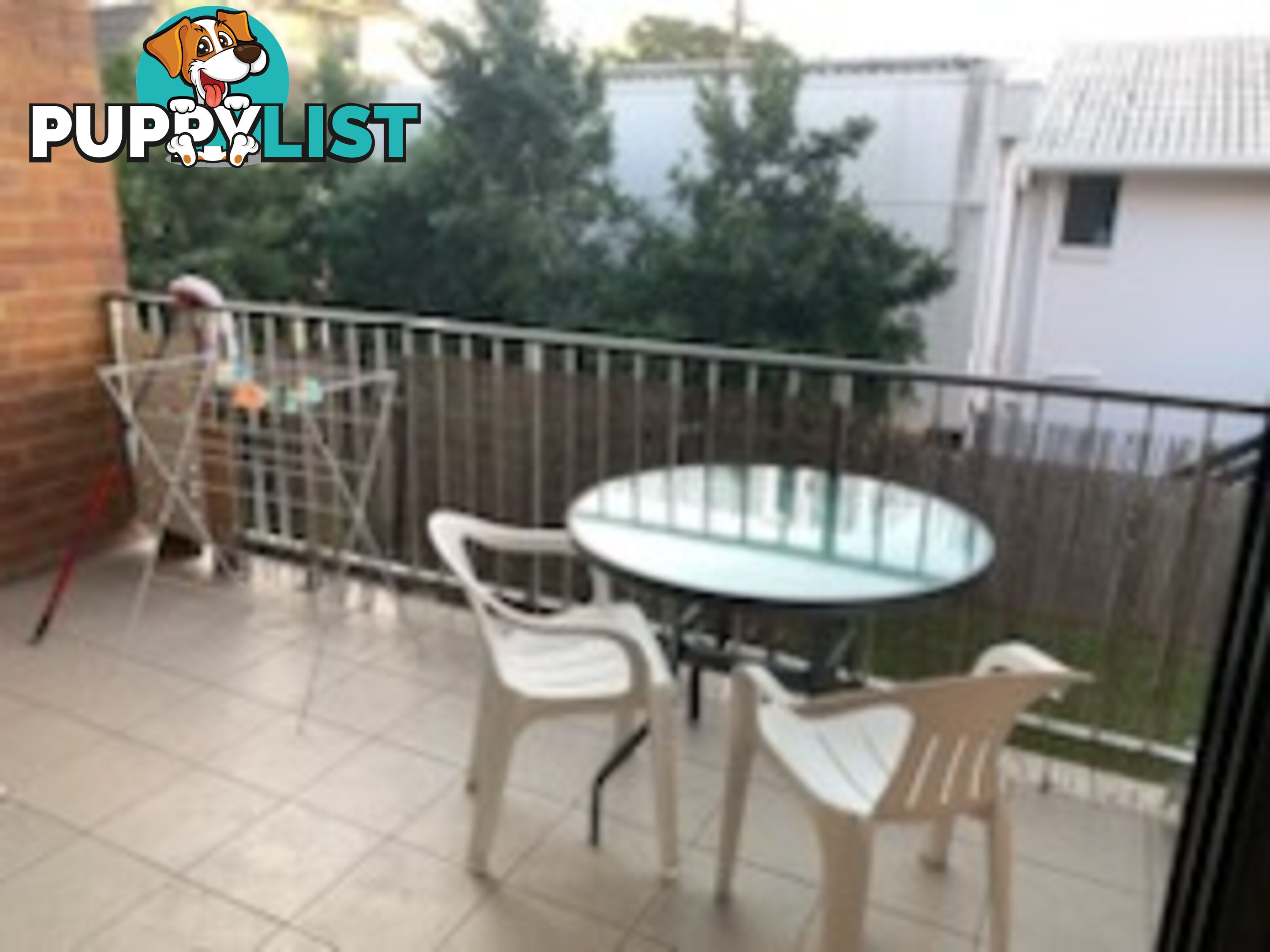 ID:21154134 18 Garden Street Garden Street Southport QLD 4215