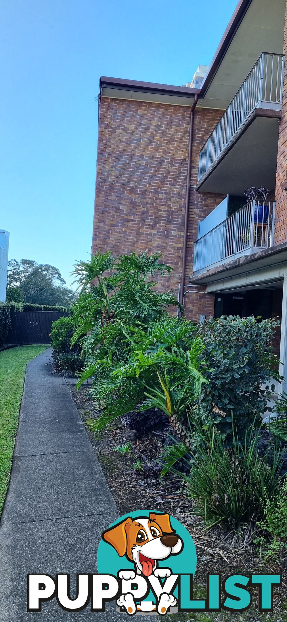 ID:21154134 18 Garden Street Garden Street Southport QLD 4215