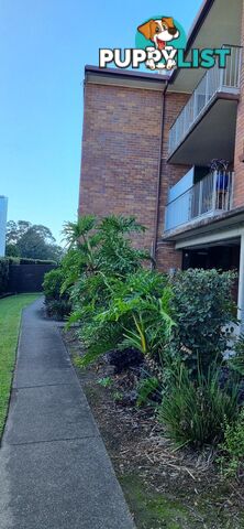 ID:21154134 18 Garden Street Garden Street Southport QLD 4215