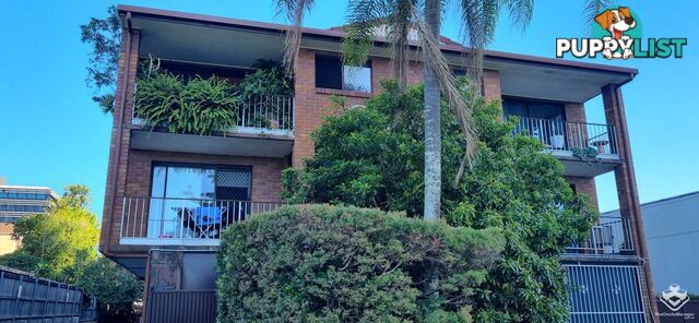 ID:21154134 24 Garden Street Garden Street Southport QLD 4215