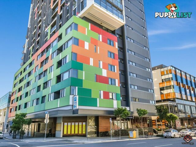 ID:3898491/25 Connor Street Fortitude Valley QLD 4006