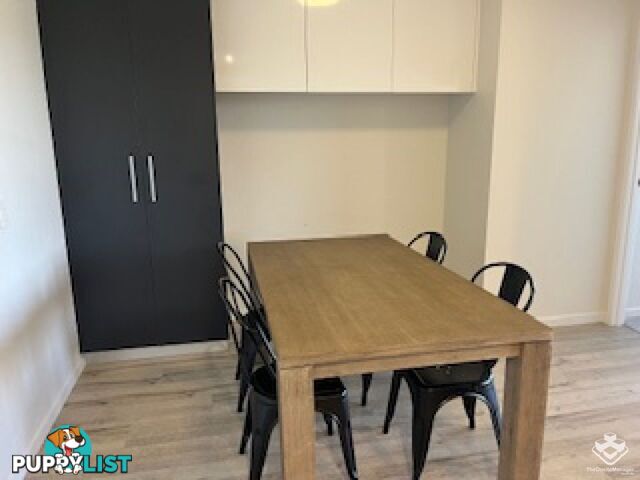 Robina QLD 4226
