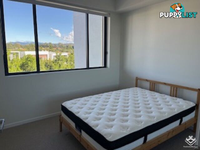 Robina QLD 4226