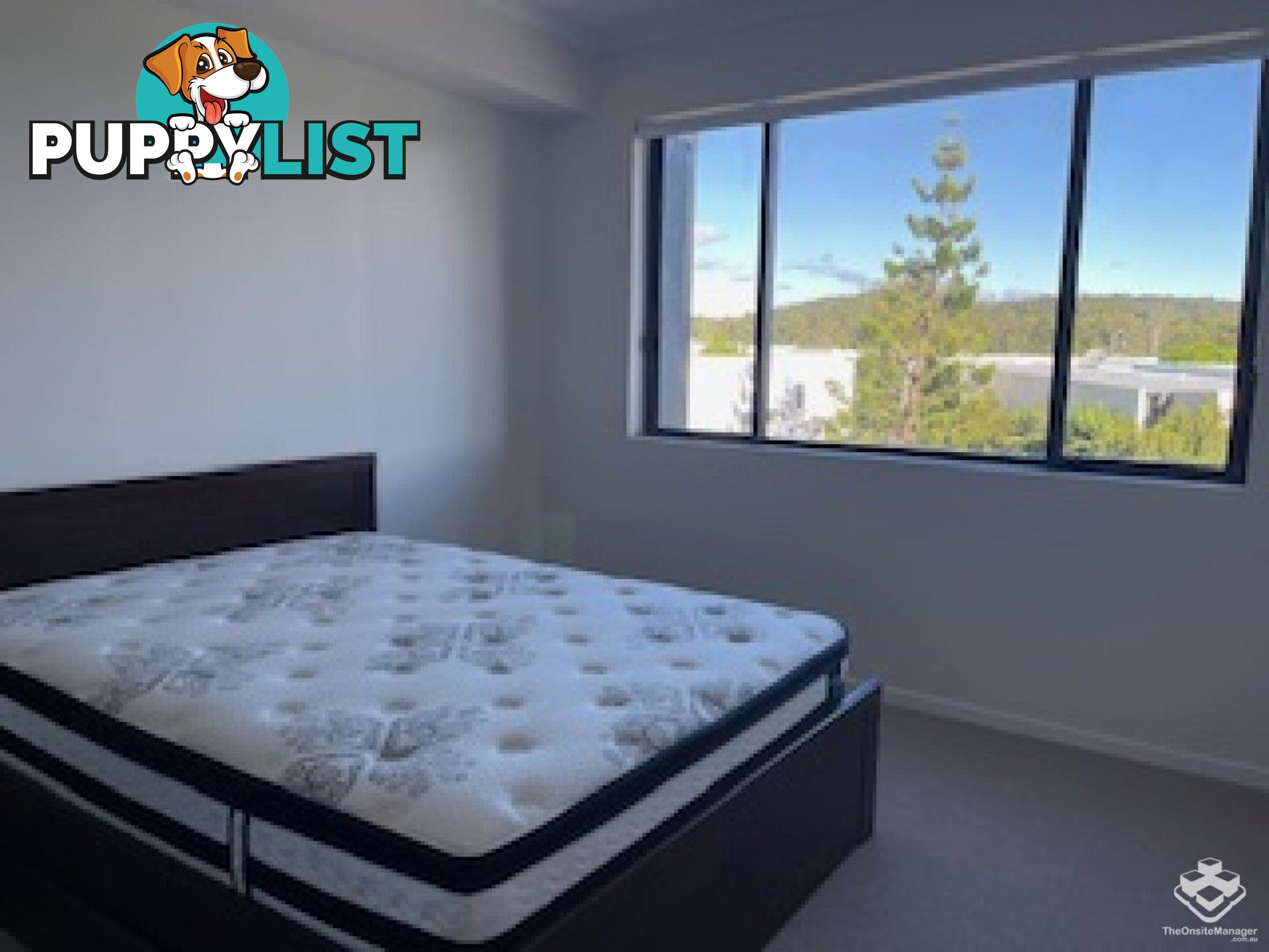 Robina QLD 4226