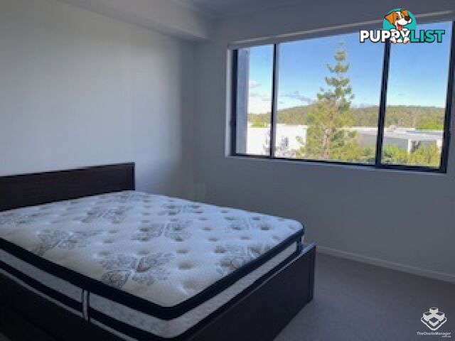 Robina QLD 4226