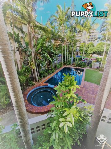 ID:21137456/55 Thorn Street Kangaroo Point QLD 4169