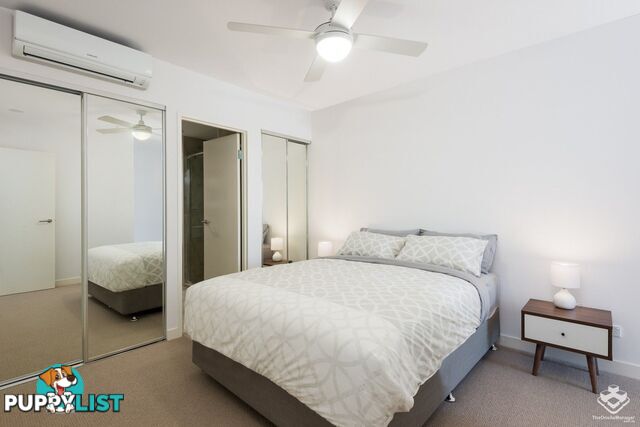 307 / 70 Carl Street Woolloongabba QLD 4102