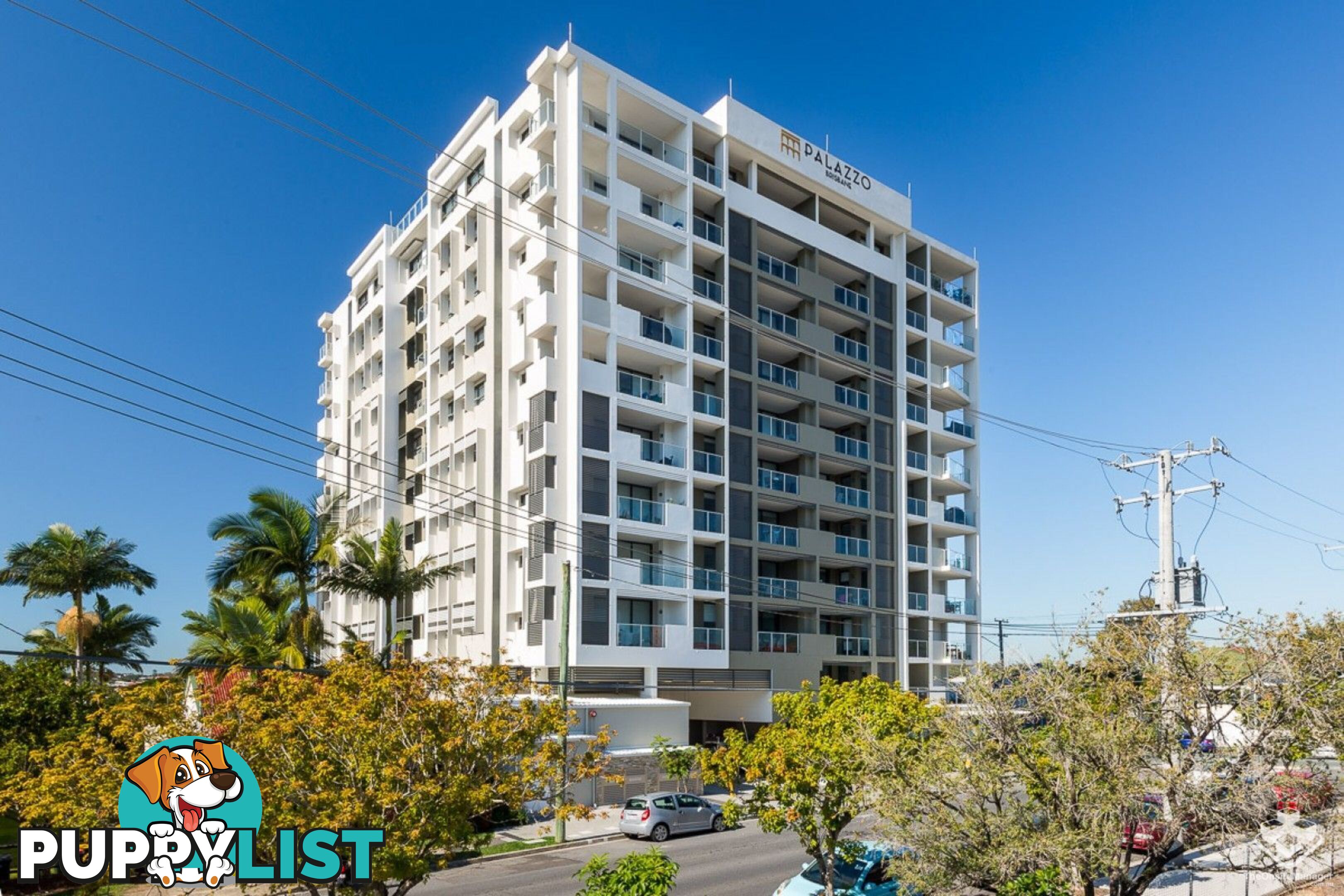 307 / 70 Carl Street Woolloongabba QLD 4102