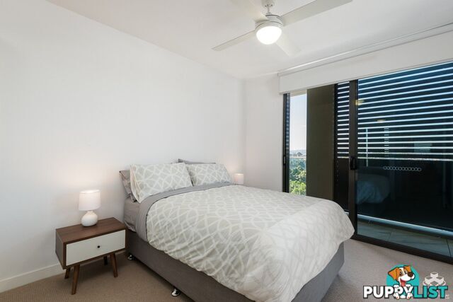 307 / 70 Carl Street Woolloongabba QLD 4102