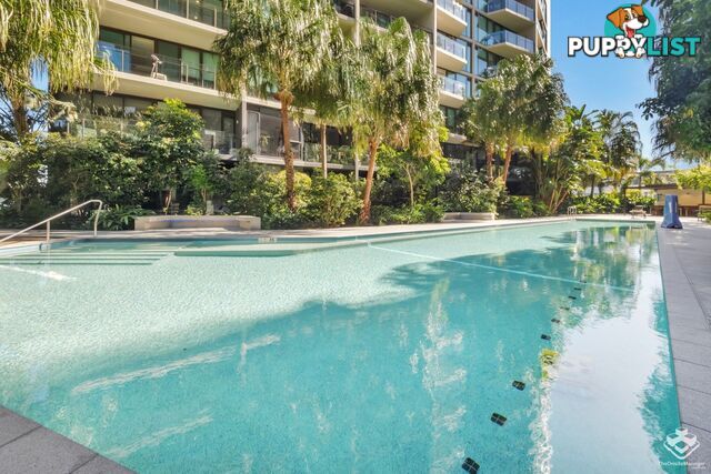 20812/1055 Ann Street Newstead QLD 4006