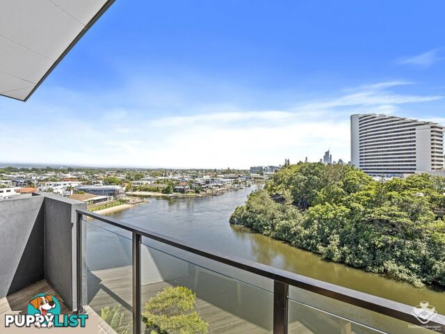 ID:21143648/9 Hooker Boulevard Broadbeach QLD 4218