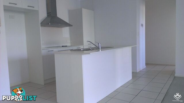 ID:21144472 6 Ewart Street Clontarf QLD 4019