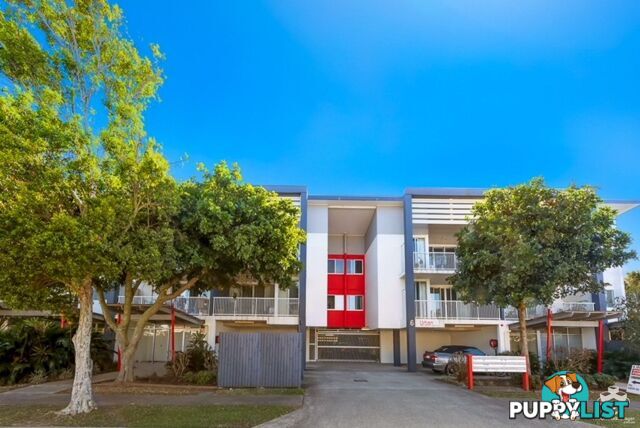 ID:21144472 6 Ewart Street Clontarf QLD 4019