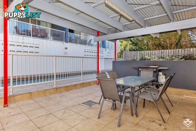 ID:21144472 6 Ewart Street Clontarf QLD 4019