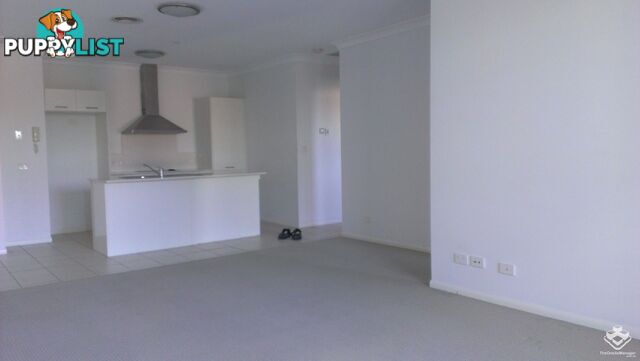 ID:21144472 6 Ewart Street Clontarf QLD 4019