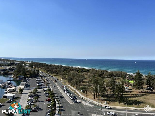 ID:21143512/ 14 MacArthur Parade Main Beach QLD 4217