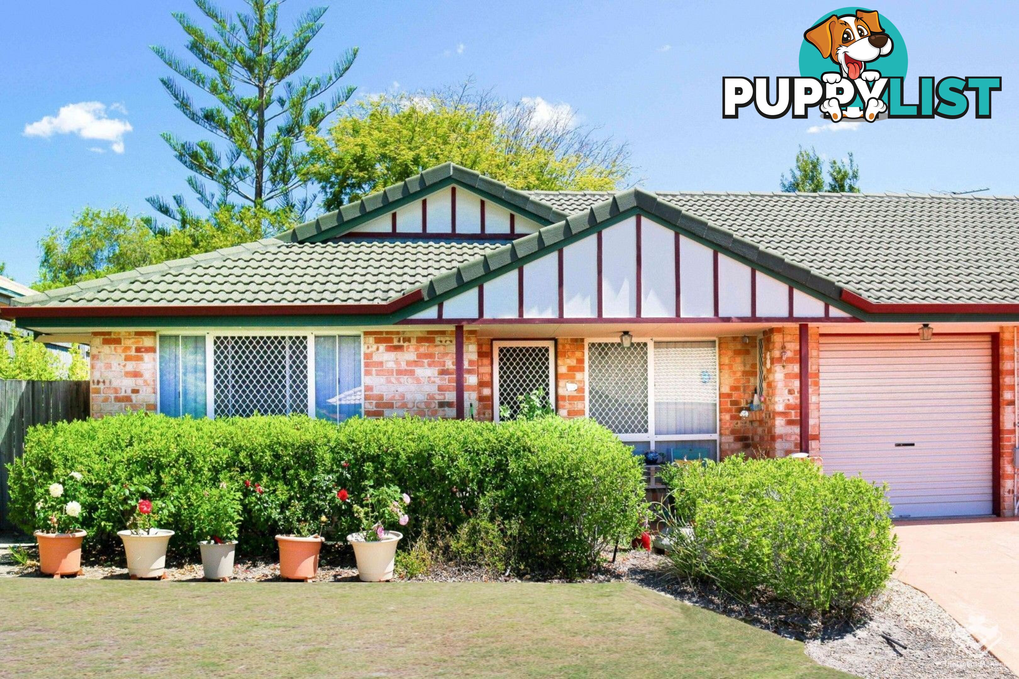 ID:21074357 18 Sunny Court Sunnybank Hills QLD 4109