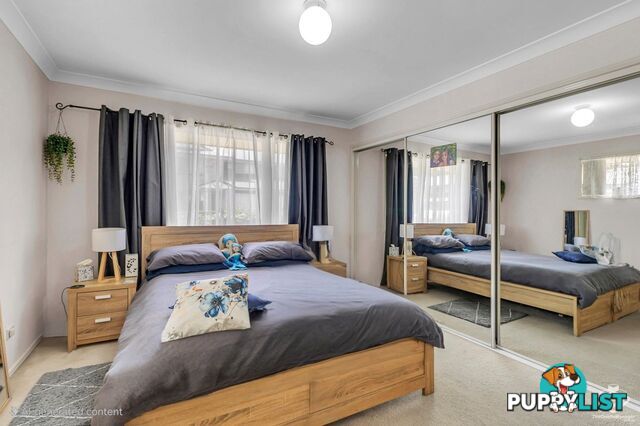 ID:21074357 18 Sunny Court Sunnybank Hills QLD 4109