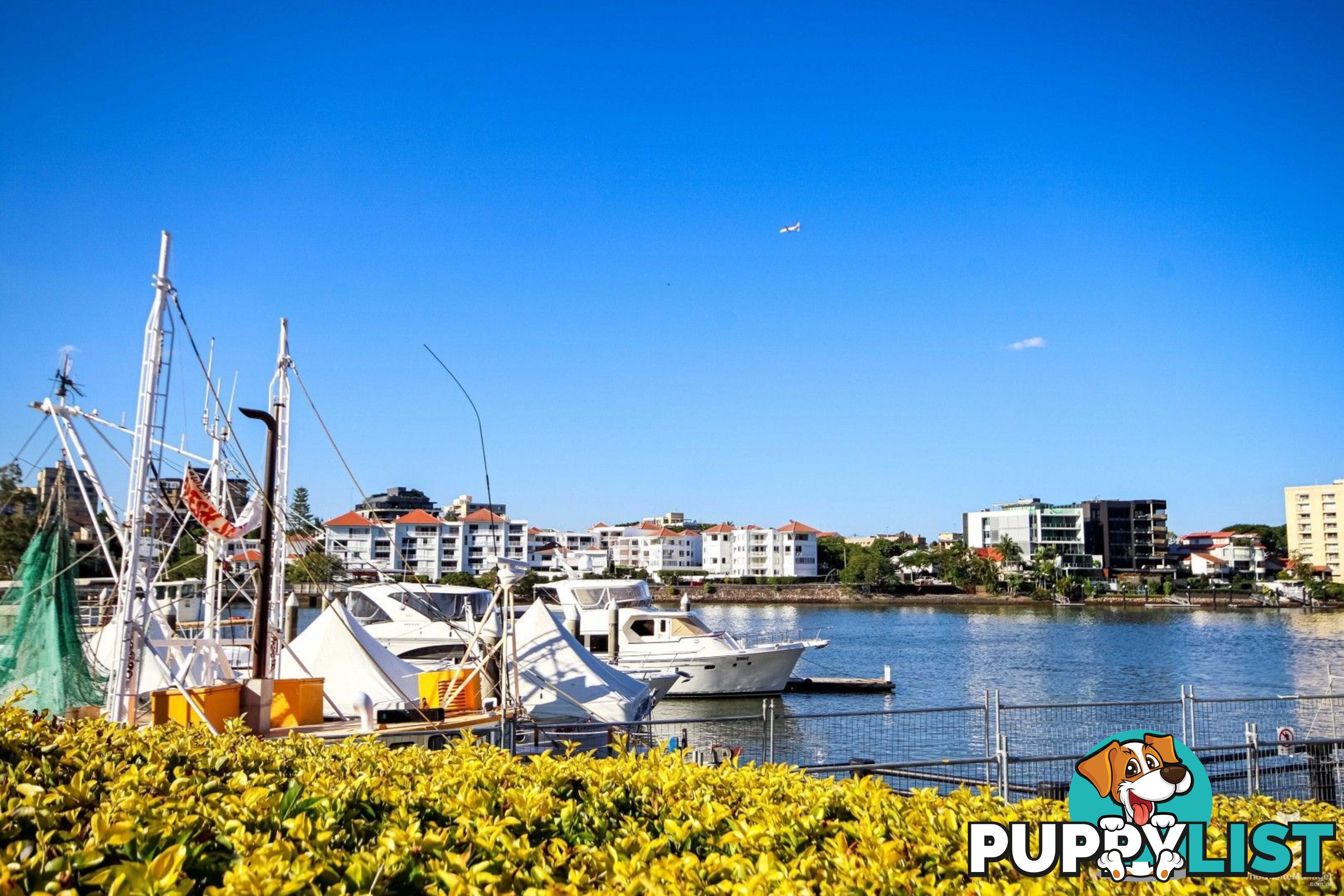 405/44 Ferry Street Kangaroo Point QLD 4169