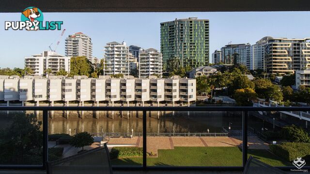 405/44 Ferry Street Kangaroo Point QLD 4169