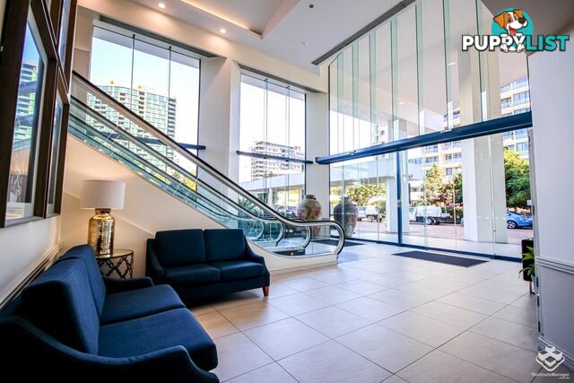 405/44 Ferry Street Kangaroo Point QLD 4169