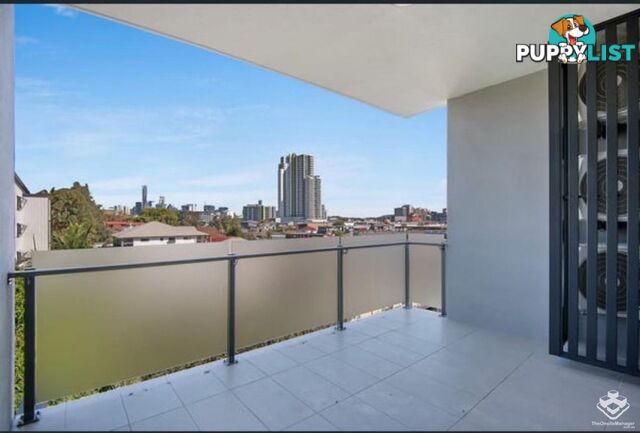ID:21154614 5 Folkestone Street Bowen Hills QLD 4006