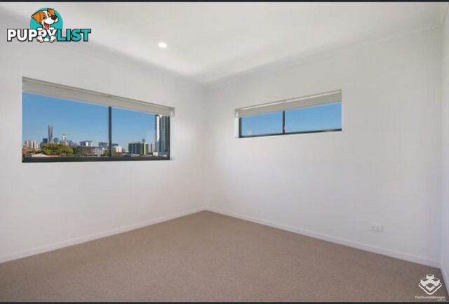 ID:21154614 5 Folkestone Street Bowen Hills QLD 4006