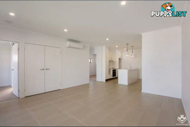 ID:21154614 5 Folkestone Street Bowen Hills QLD 4006