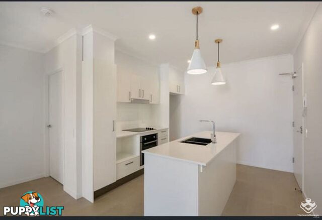 ID:21154614 5 Folkestone Street Bowen Hills QLD 4006