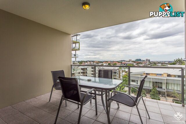 ID:21153913 170 Leichhardt Street Spring Hill QLD 4000