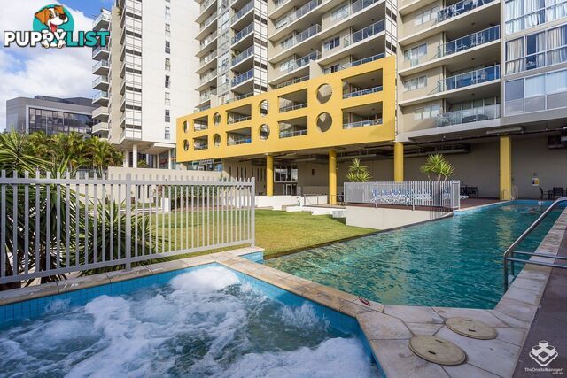 ID:21153913 170 Leichhardt Street Spring Hill QLD 4000