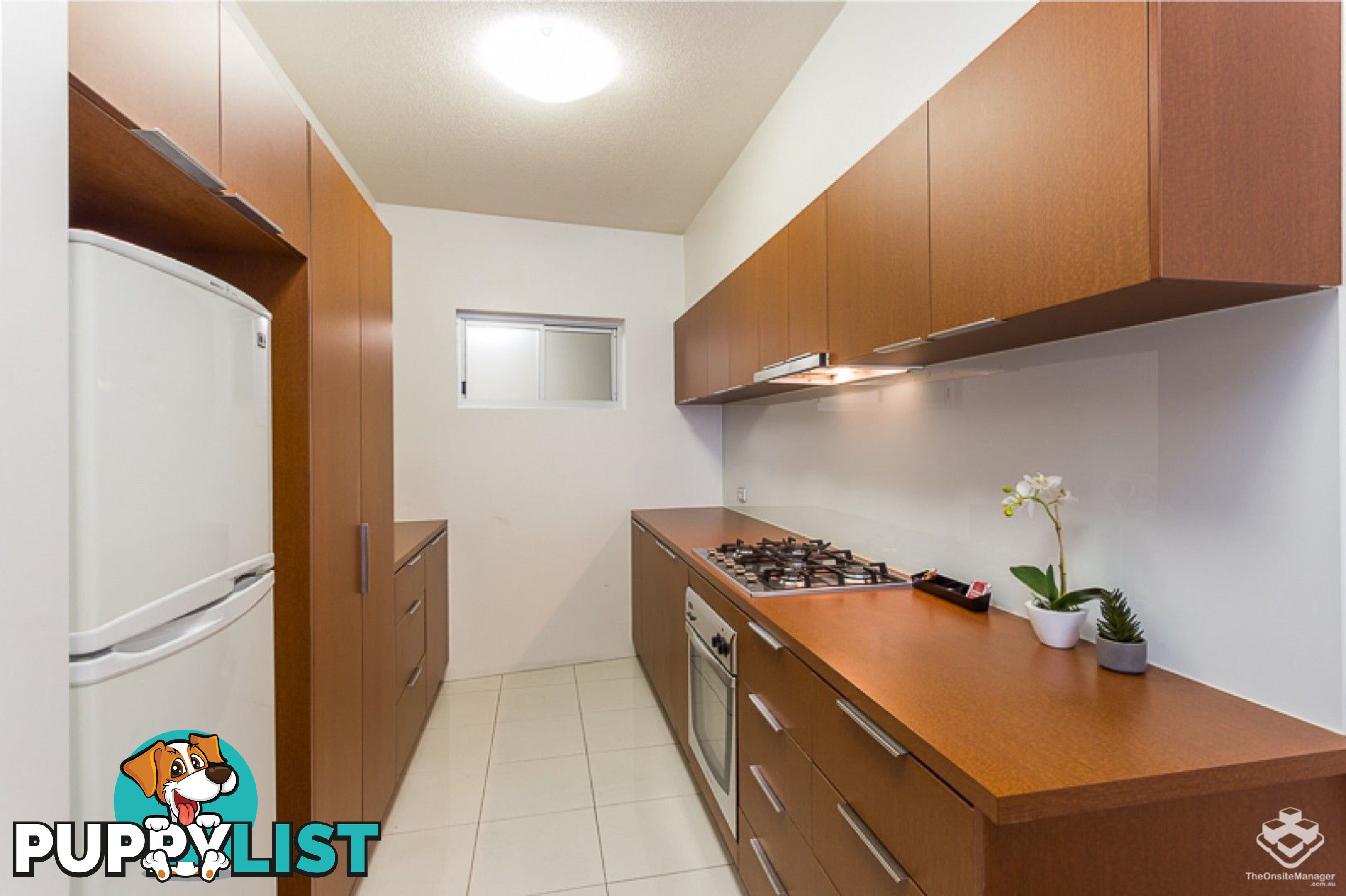 ID:21153913 170 Leichhardt Street Spring Hill QLD 4000