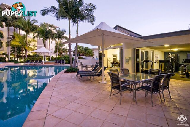 ID:21153764 13 Nicklin Way Minyama QLD 4575