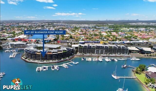 ID:21153764 13 Nicklin Way Minyama QLD 4575