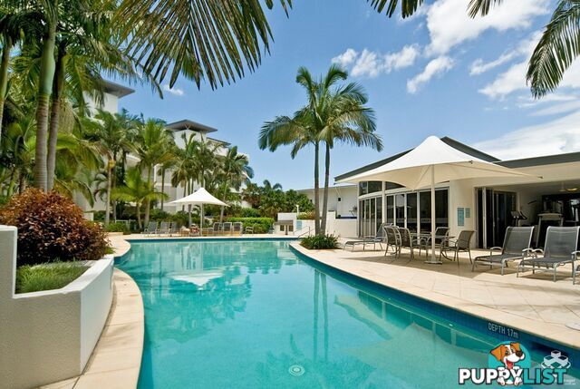 ID:21153764 13 Nicklin Way Minyama QLD 4575