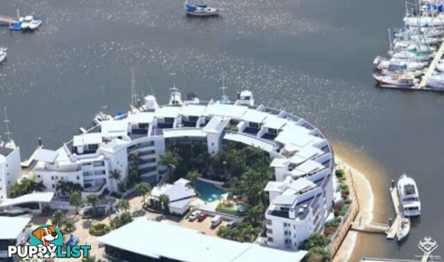 ID:21153764 13 Nicklin Way Minyama QLD 4575