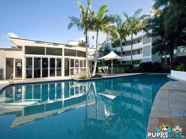 ID:21153764 13 Nicklin Way Minyama QLD 4575