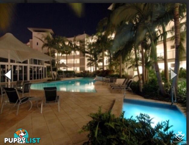 ID:21153764 13 Nicklin Way Minyama QLD 4575