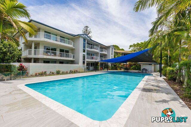 ID:21141349/29 West Burleigh Road Burleigh Heads QLD 4220