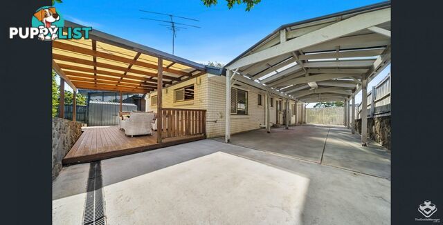 13 Kancoona Street Rochedale South QLD 4123
