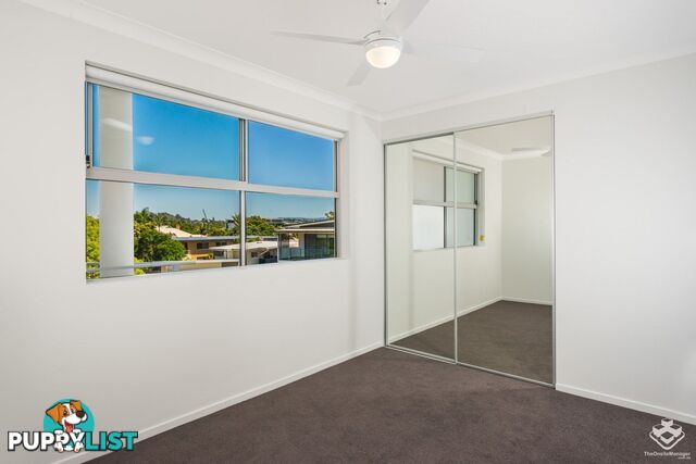 ID:21147057 25 Colton Avenue lutwyche QLD 4030
