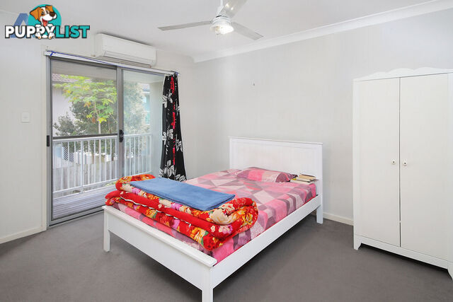 ID:21147395 31 Lyrebird Street Loganlea QLD 4131