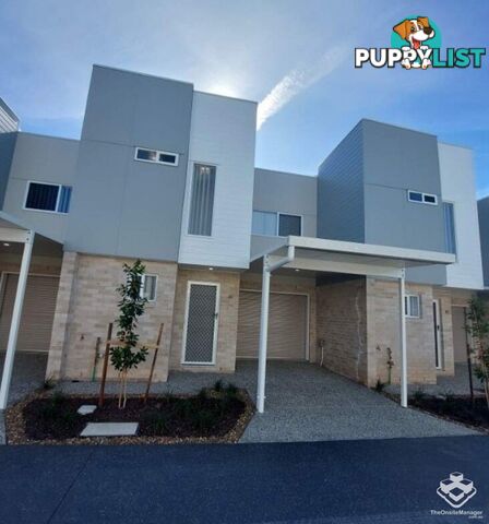 ID:21153631 48 Sean Street Boondall QLD 4034