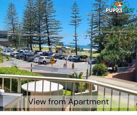 5 / 158 Hedges Avenue Mermaid Beach QLD 4218