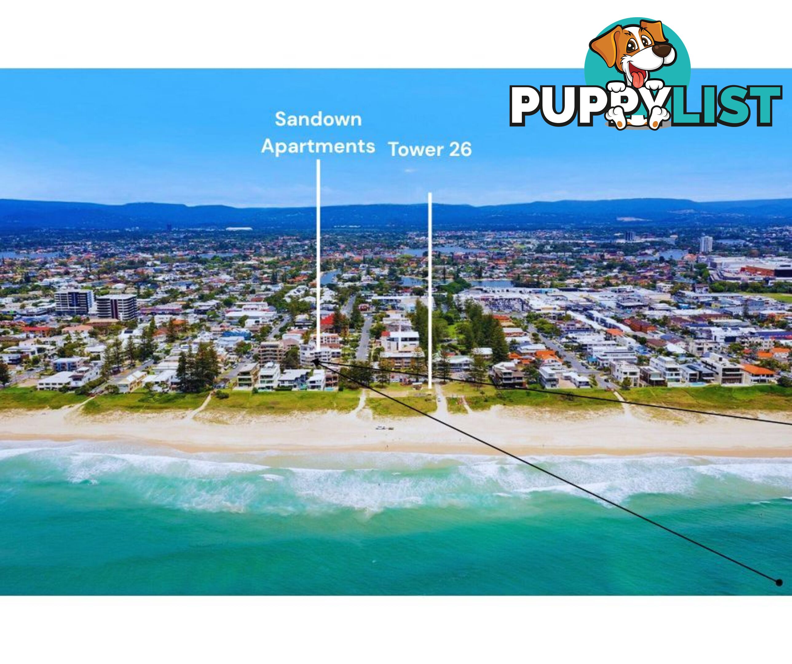 5 / 158 Hedges Avenue Mermaid Beach QLD 4218