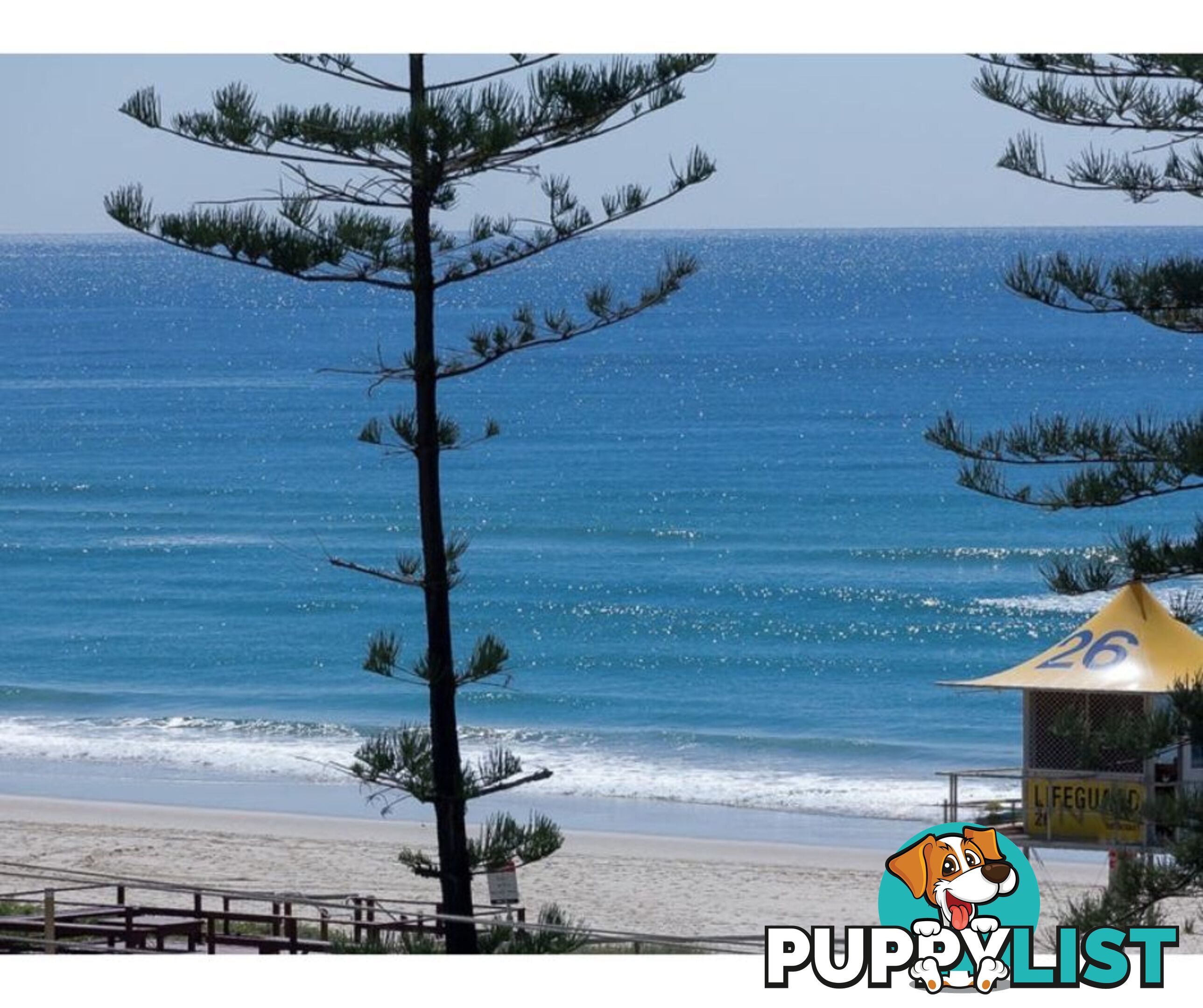 5 / 158 Hedges Avenue Mermaid Beach QLD 4218