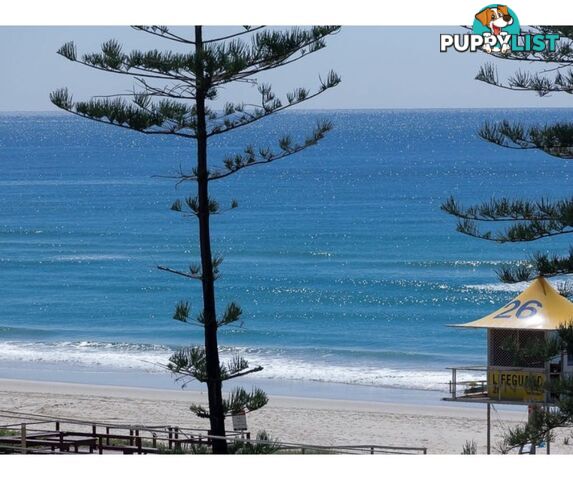 5 / 158 Hedges Avenue Mermaid Beach QLD 4218