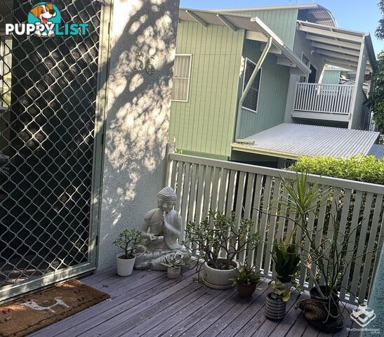 ID:21156202 35 Miawela Street Seven Hills QLD 4170