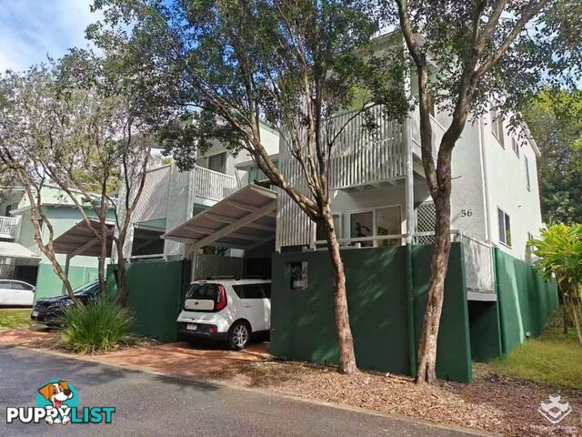 ID:21156202 35 Miawela Street Seven Hills QLD 4170