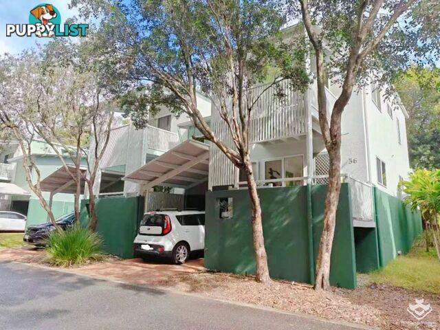 ID:21156202 35 Miawela Street Seven Hills QLD 4170